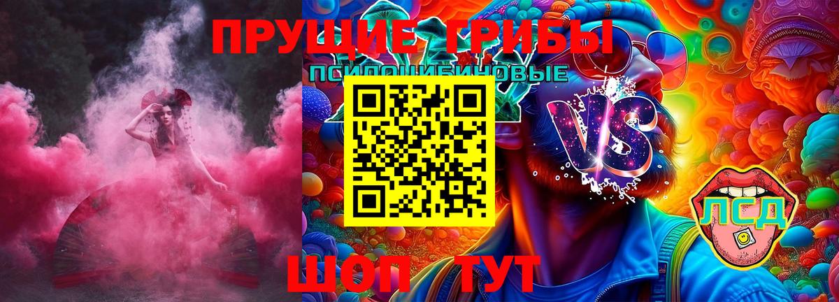 Псилоцибиновые грибы мицелий Славгород