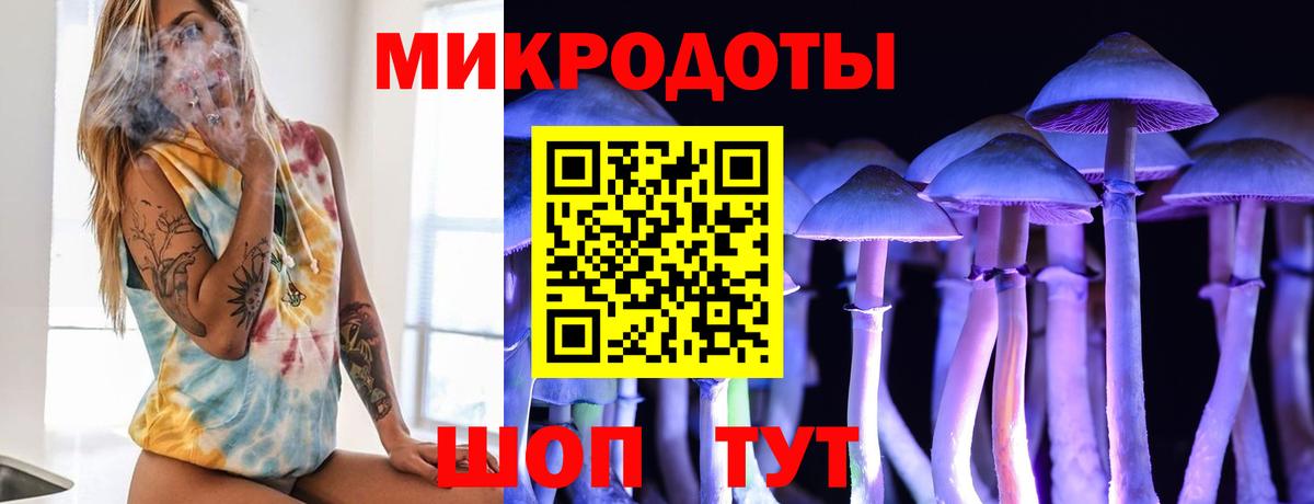 Галлюциногенные грибы прущие грибы  Вход с VPN  Славгород 